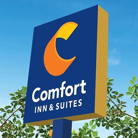 Comfort Inn & Suites Newark Liberty International Airport Екстериор снимка